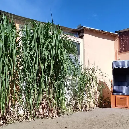 Kleine Perle * Stendal